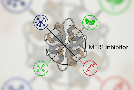 A COMBINATION INHIBITING MEIS PROTEINS