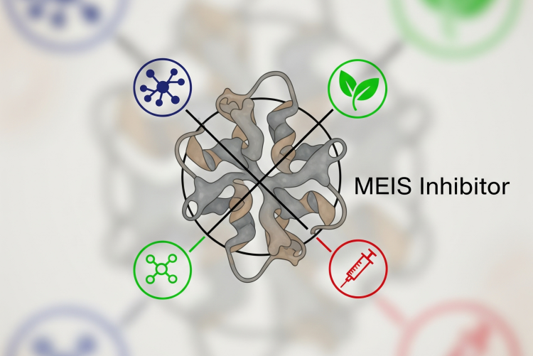 A COMBINATION INHIBITING MEIS PROTEINS