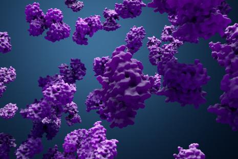 MODIFIED CHITOSAN MEMBRANE PRODUCTION METHOD TO USE FOR PROTEIN PURIFICATION