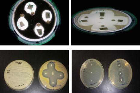 GELATIN OR PECTIN BASED ANTIMICROBIAL SURFACE COATING MATERIAL